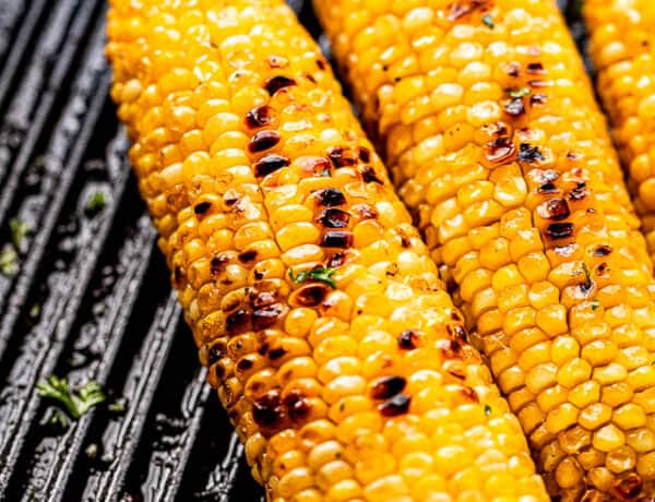 charred cobs of corn on a grill