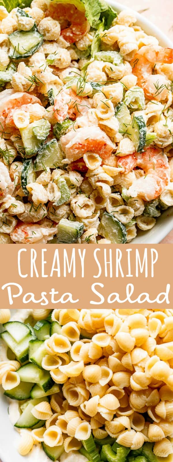 Creamy Shrimp Pasta Salad Recipe | How to Make the Best Pasta Salad