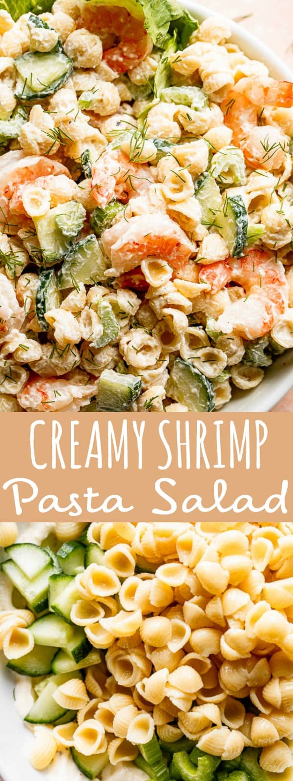 Creamy Shrimp Pasta Salad Recipe How to Make the Best Pasta Salad