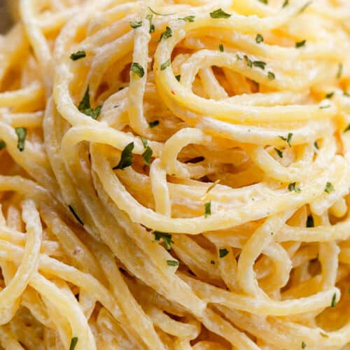 Spaghetti a la Philly {Creamy Spaghetti} — Mommy's Kitchen