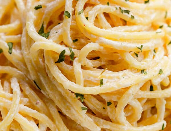 close up shot of creamy spaghetti