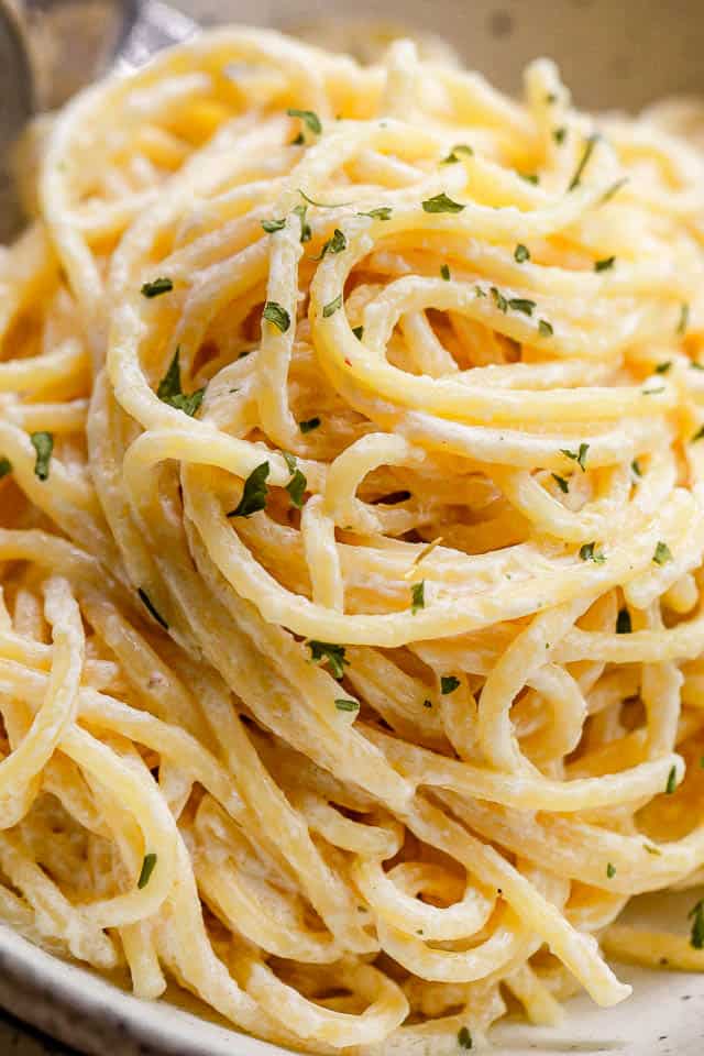 close up shot of creamy spaghetti