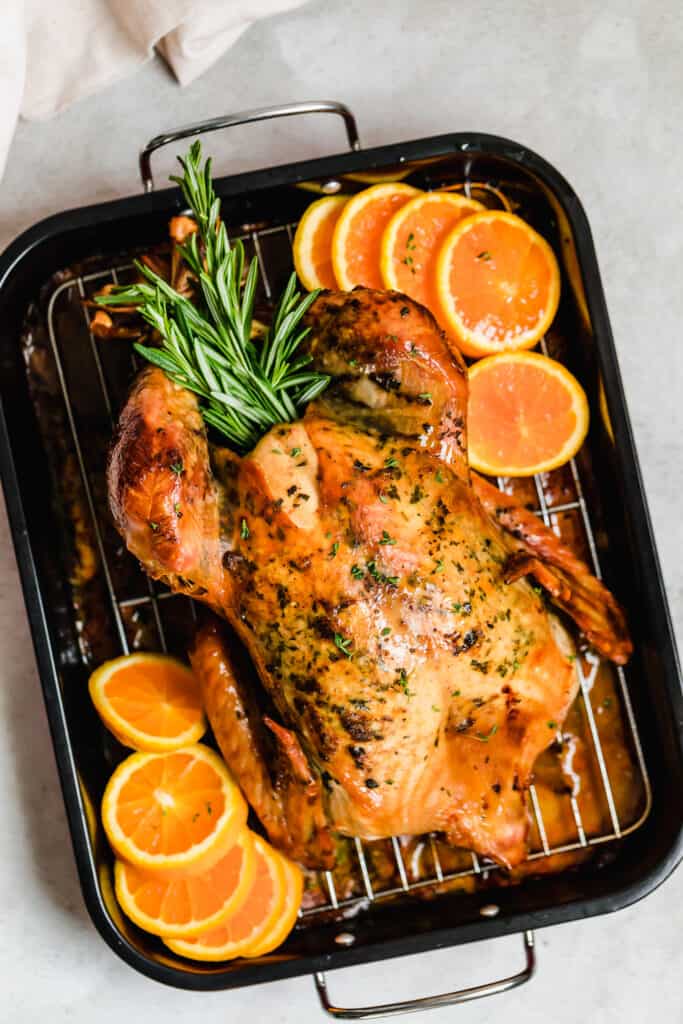 Roasted turkey in a pan with rosemary and orange slices.