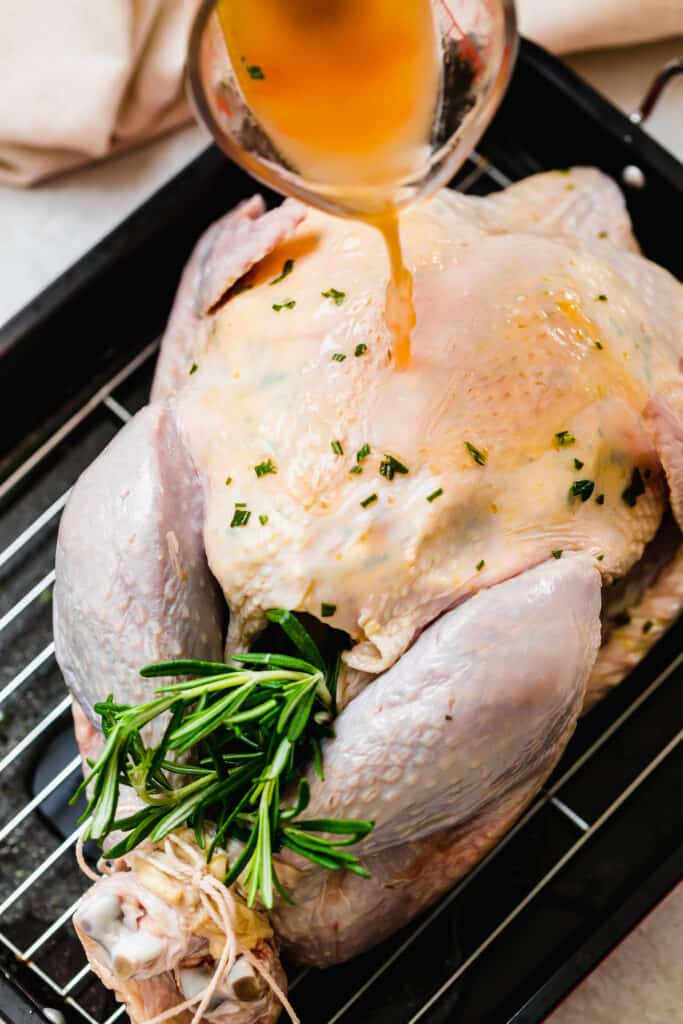 Uncooked turkey in a pan with rosemary in the cavity.