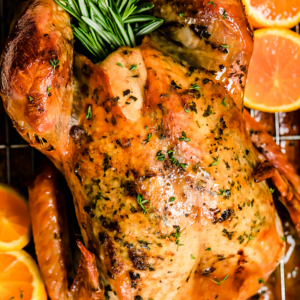 Roasted turkey in a pan with rosemary and orange slices.