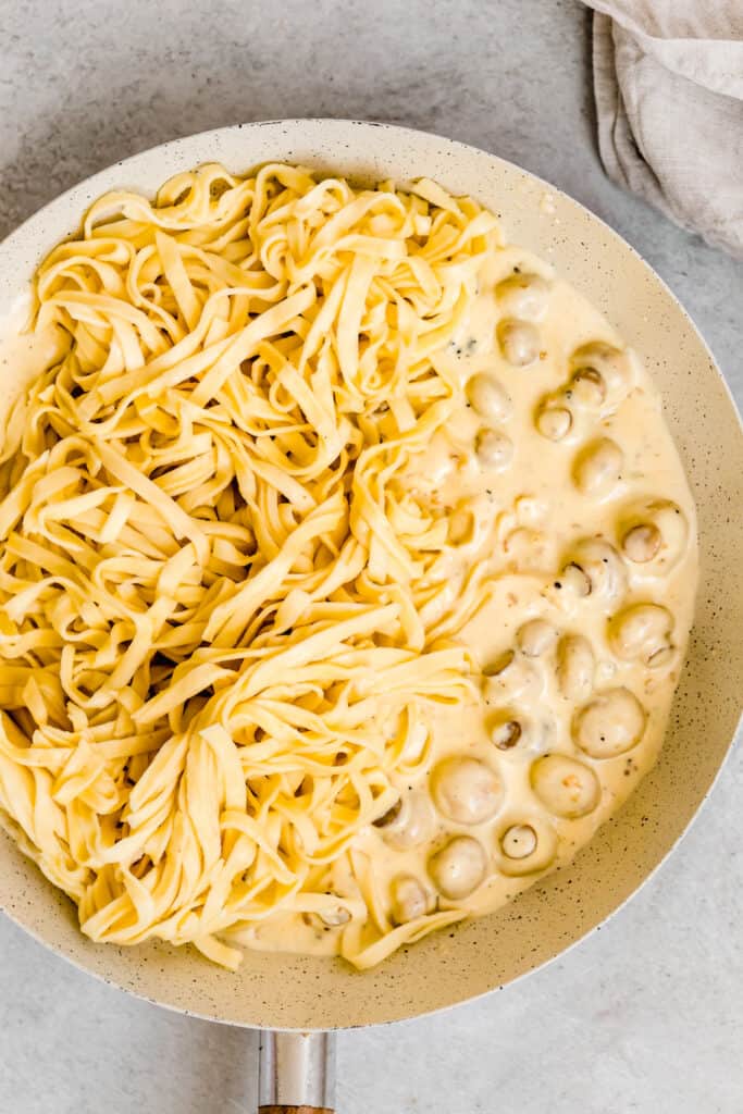 Noodles and Mushrooms in a Bowl with Homemade Alfredo Sauce