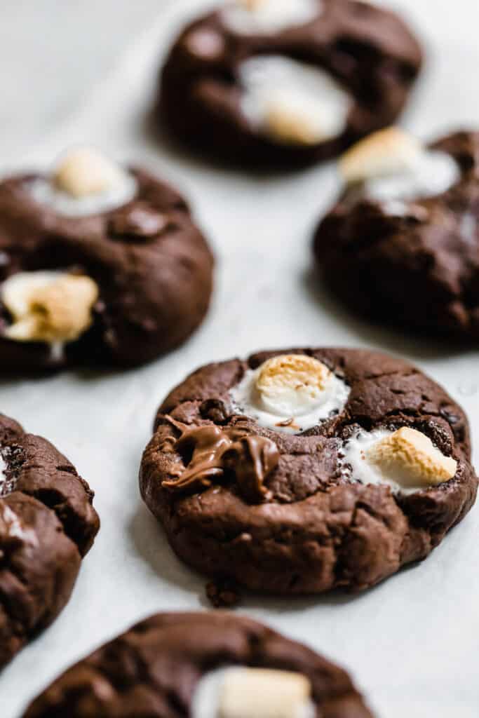 Six Chocolatey Sugar Cookies with Mini Marshmallows