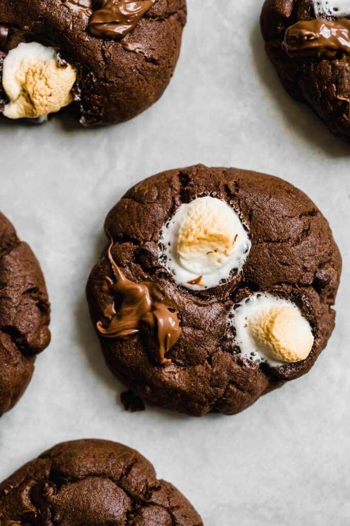 A Hot Chocolate Cookie with Two Toasted Marshmallows on Top
