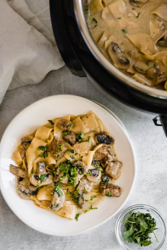 A Plate of Beef Stroganoff Beside a Pressure Cooker Filled with the Rest