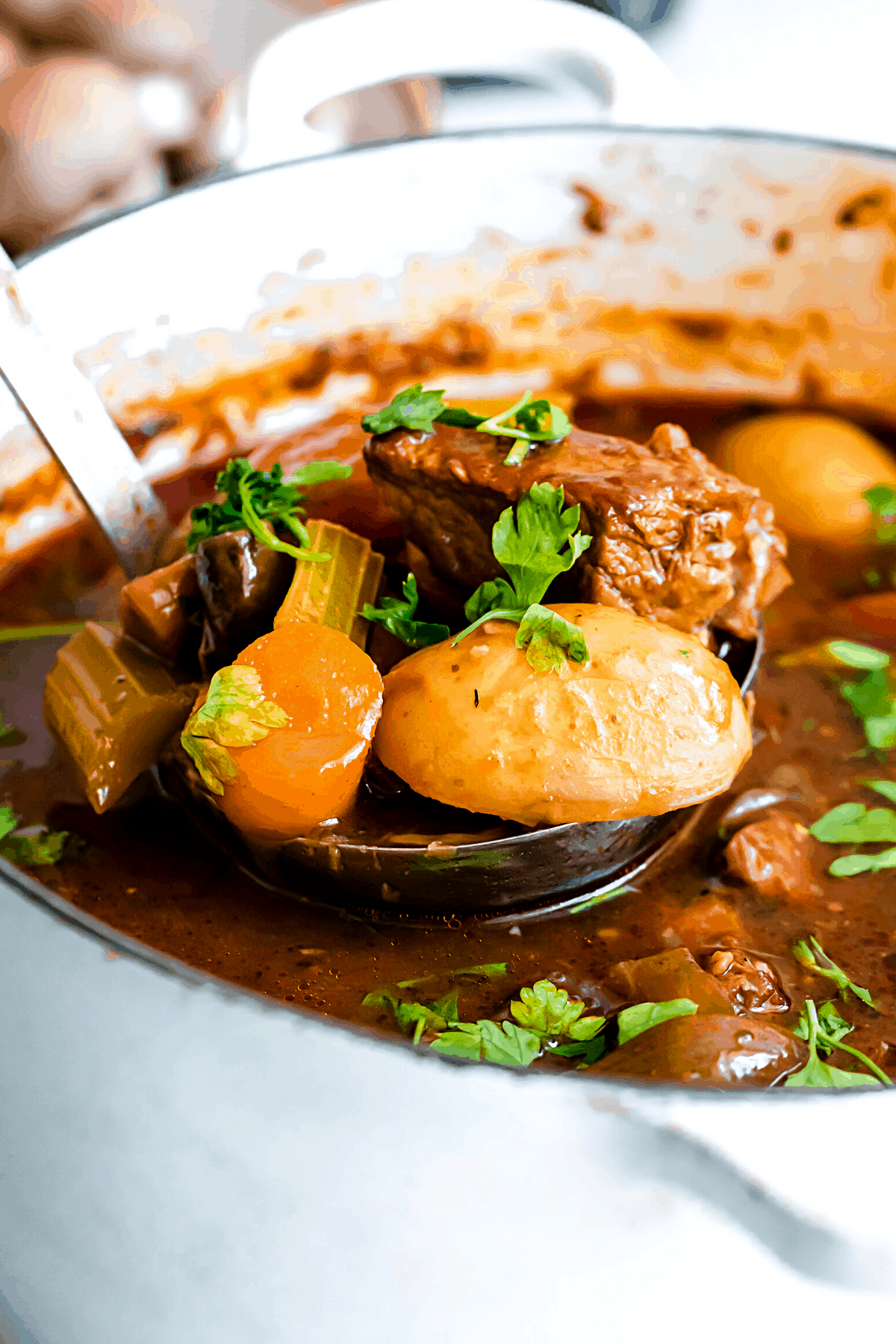 ladling out beef stew from a dutch oven