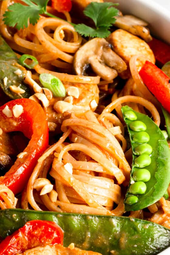 A Close-Up Image of Chicken Lo Mein with Veggies