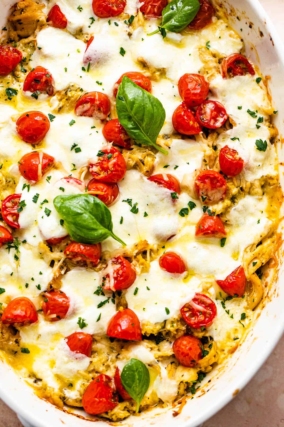 chicken caprese casserole in a white baking dish topped with basil leaves and cherry tomatoes