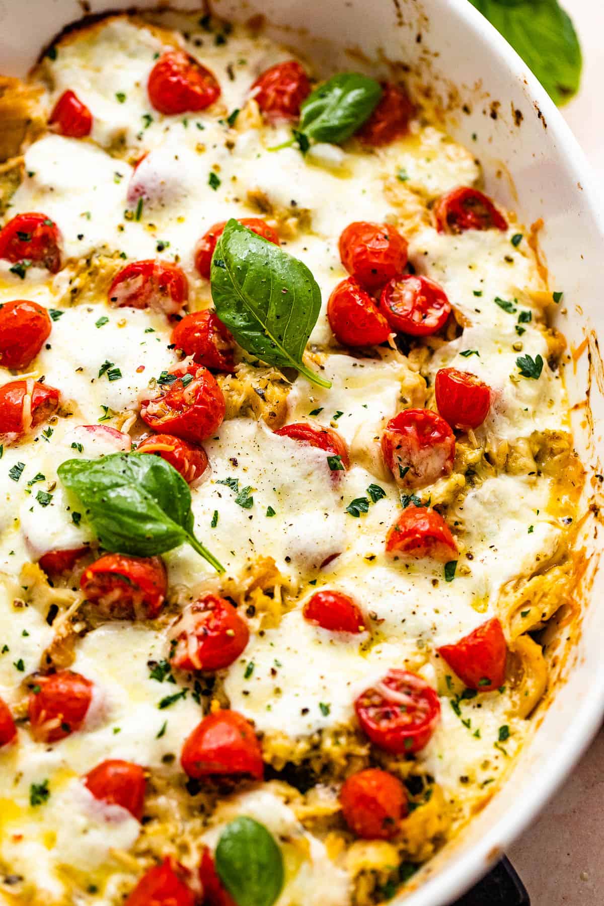 chicken caprese casserole in a white baking dish topped with basil leaves and cherry tomatoes