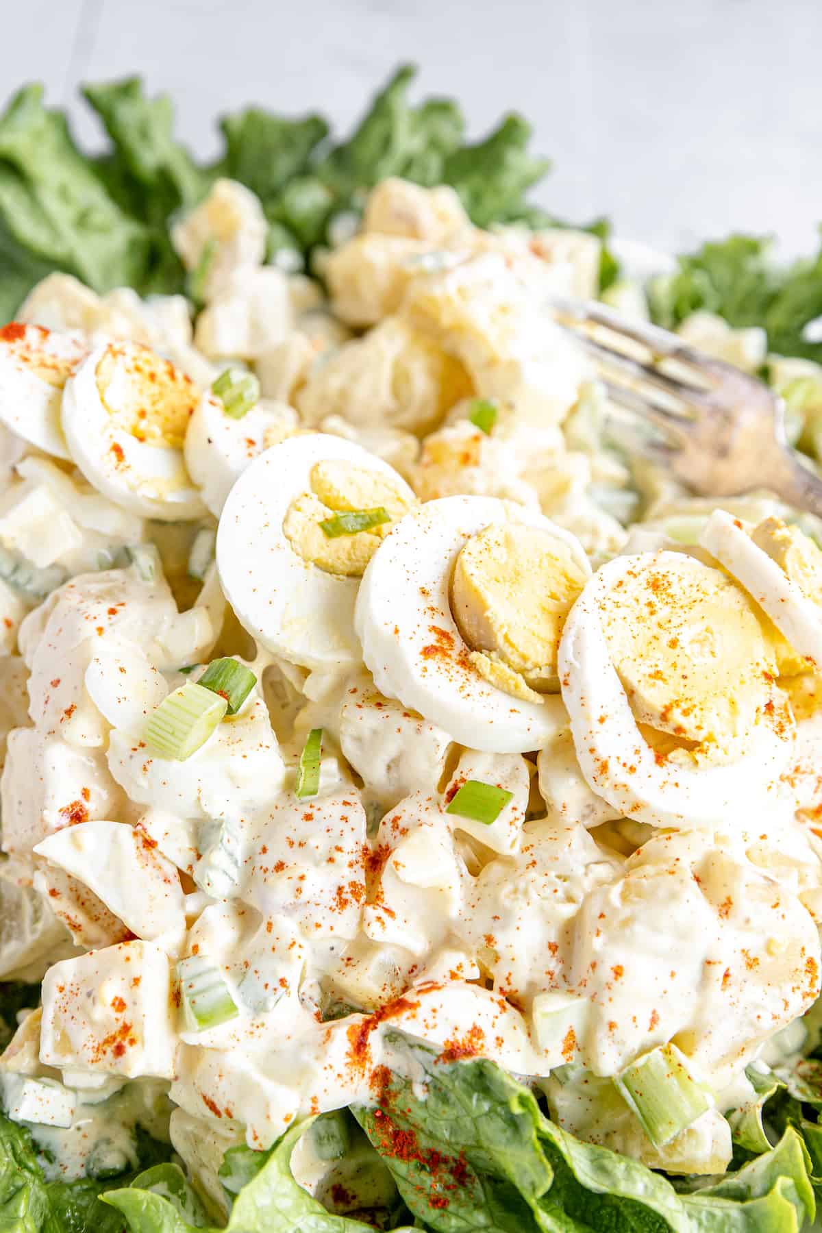 Garnishes and a Line of Hard-Boiled Egg Slices on Top of a Creamy Potato Salad