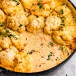 dutch oven with chicken and dumplings