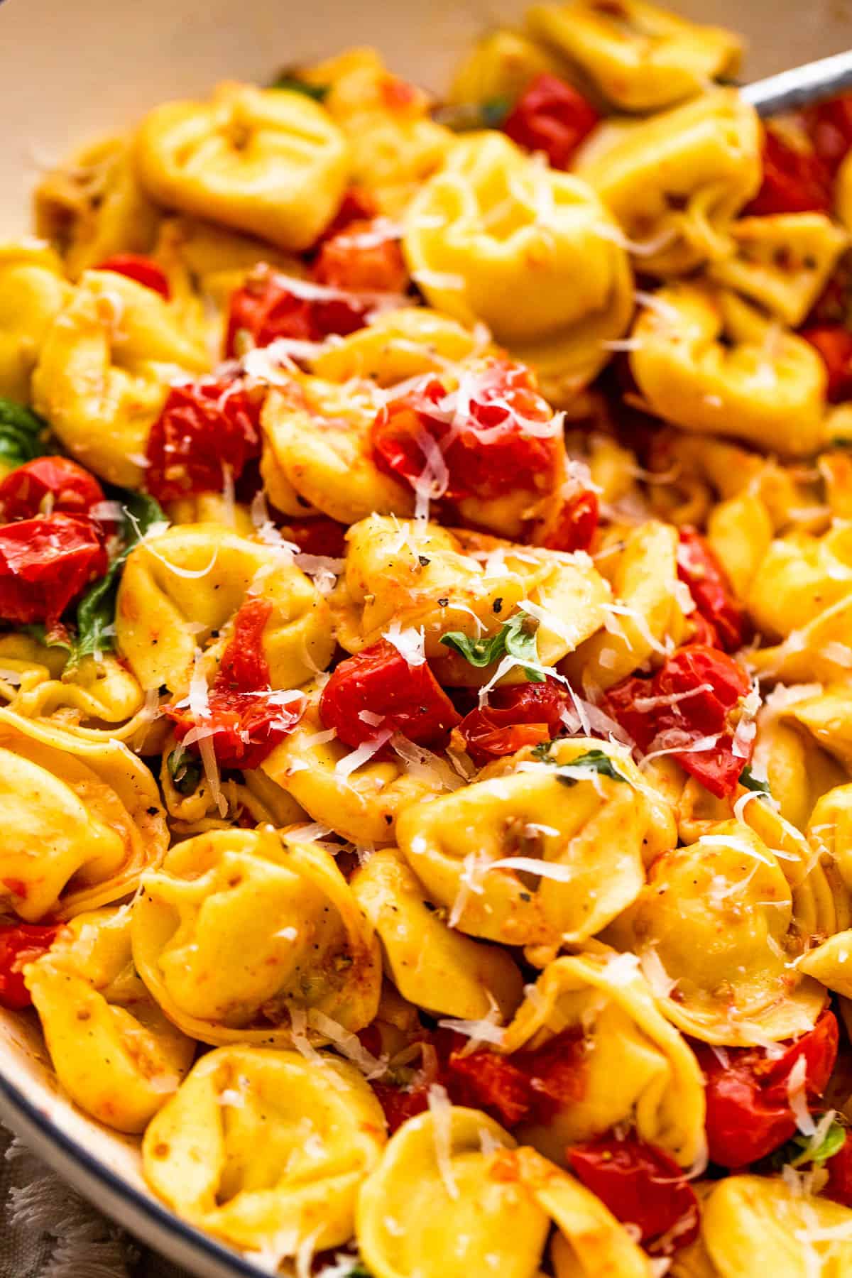 cheese tortellini with roasted cherry tomatoes and fresh parmesan cheese