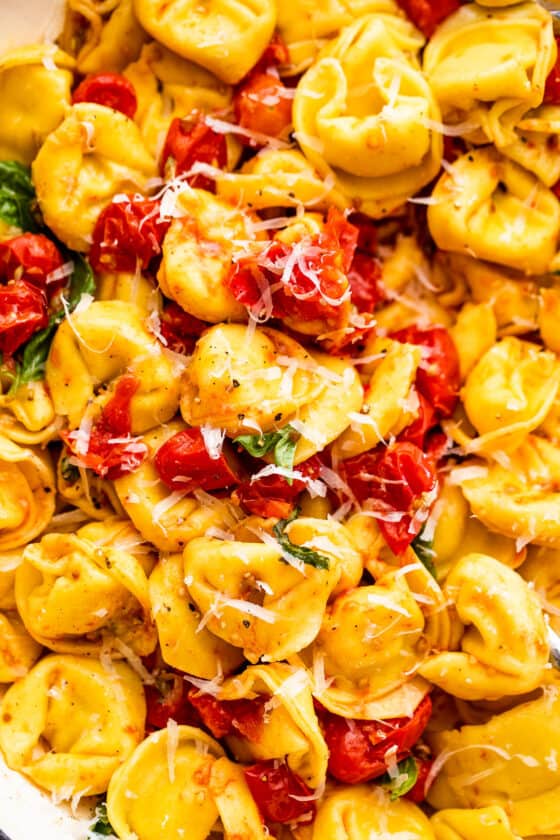 cheese tortellini with roasted cherry tomatoes and fresh parmesan cheese