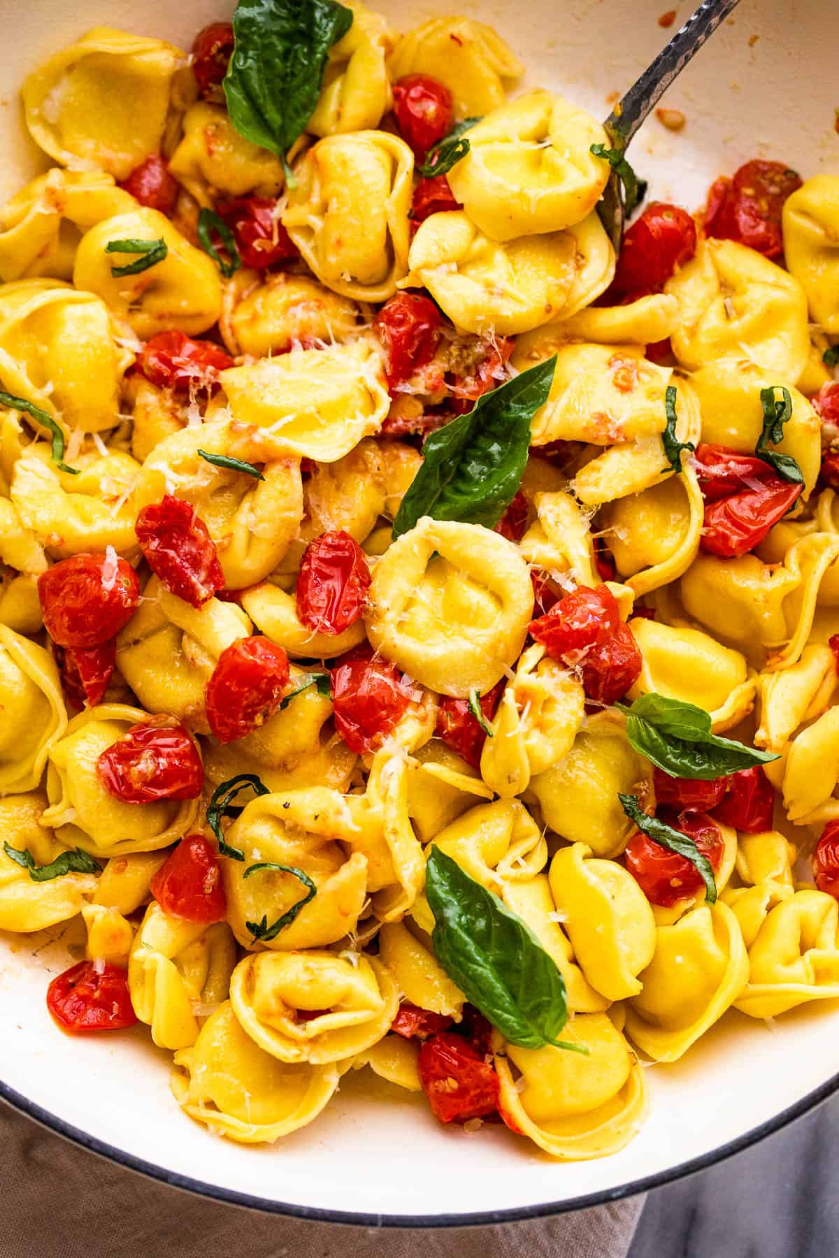 tortellini pasta tossed with cherry tomatoes and garnished with basil leaves