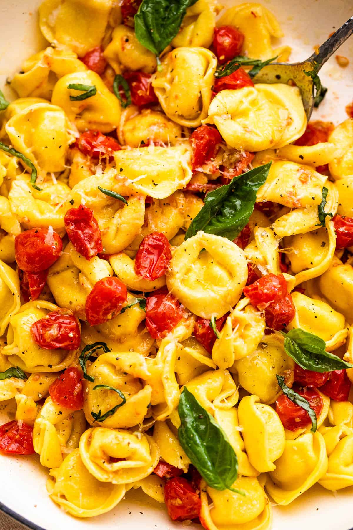 tortellini pasta tossed with cherry tomatoes and garnished with basil leaves