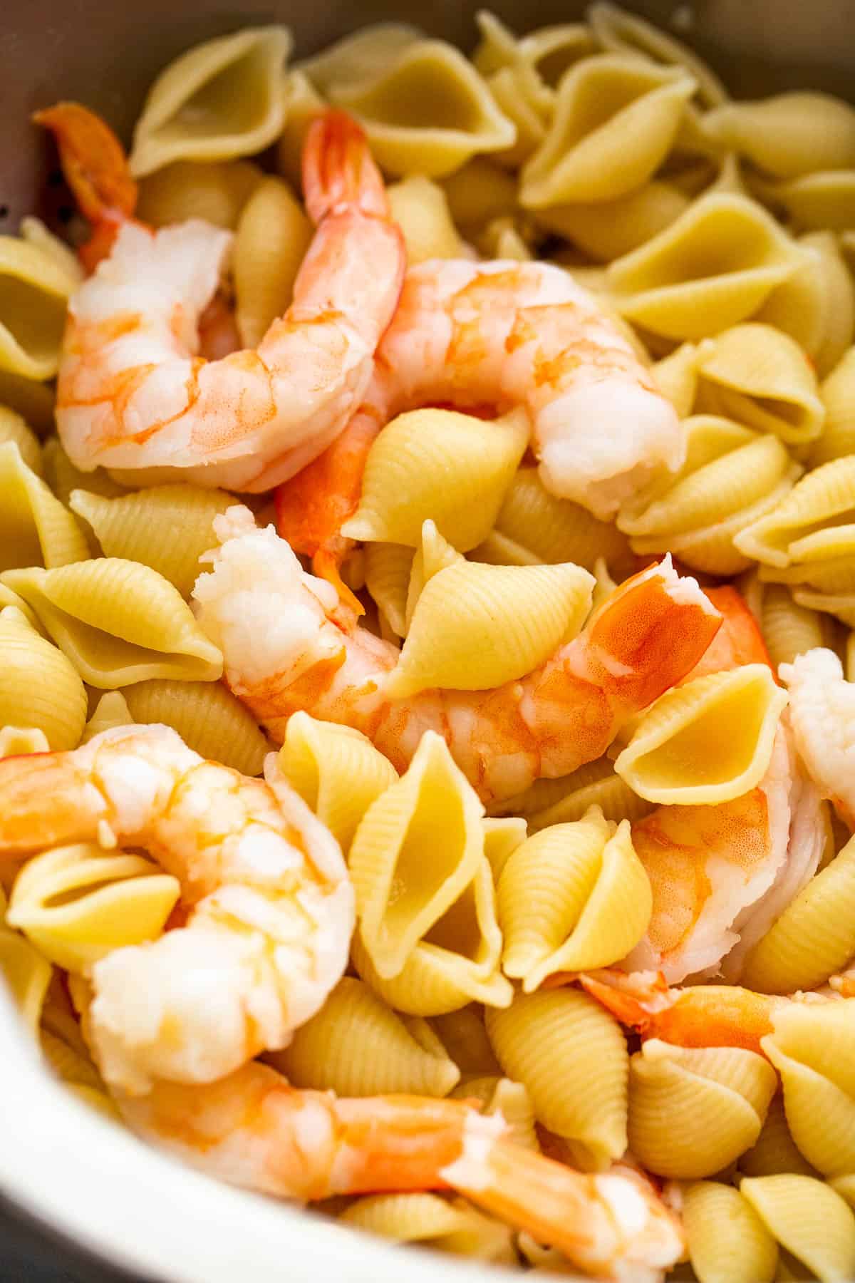 cooking shells pasta and shrimp