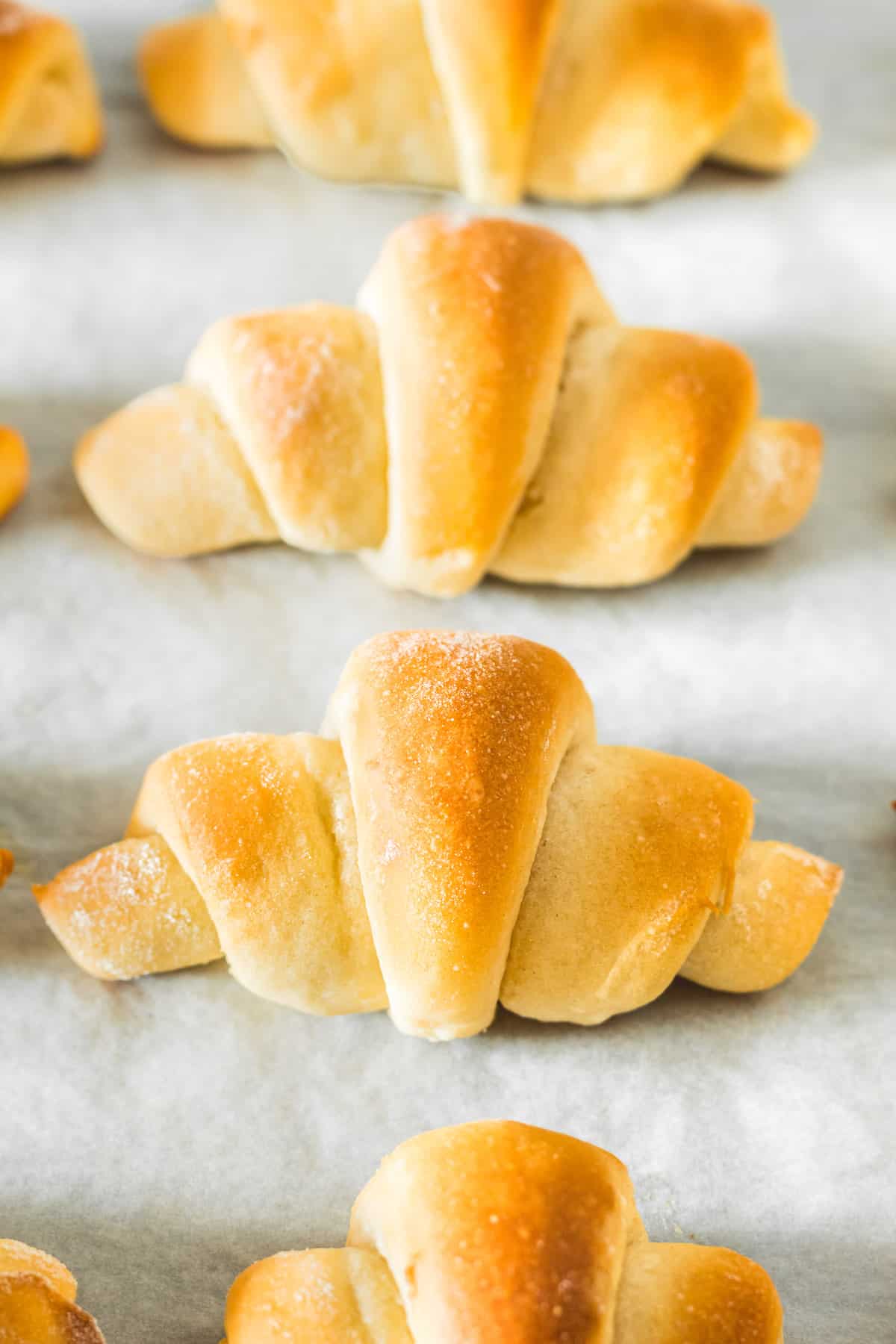 A row of crescent rolls on a parchment-lined baking sheet.