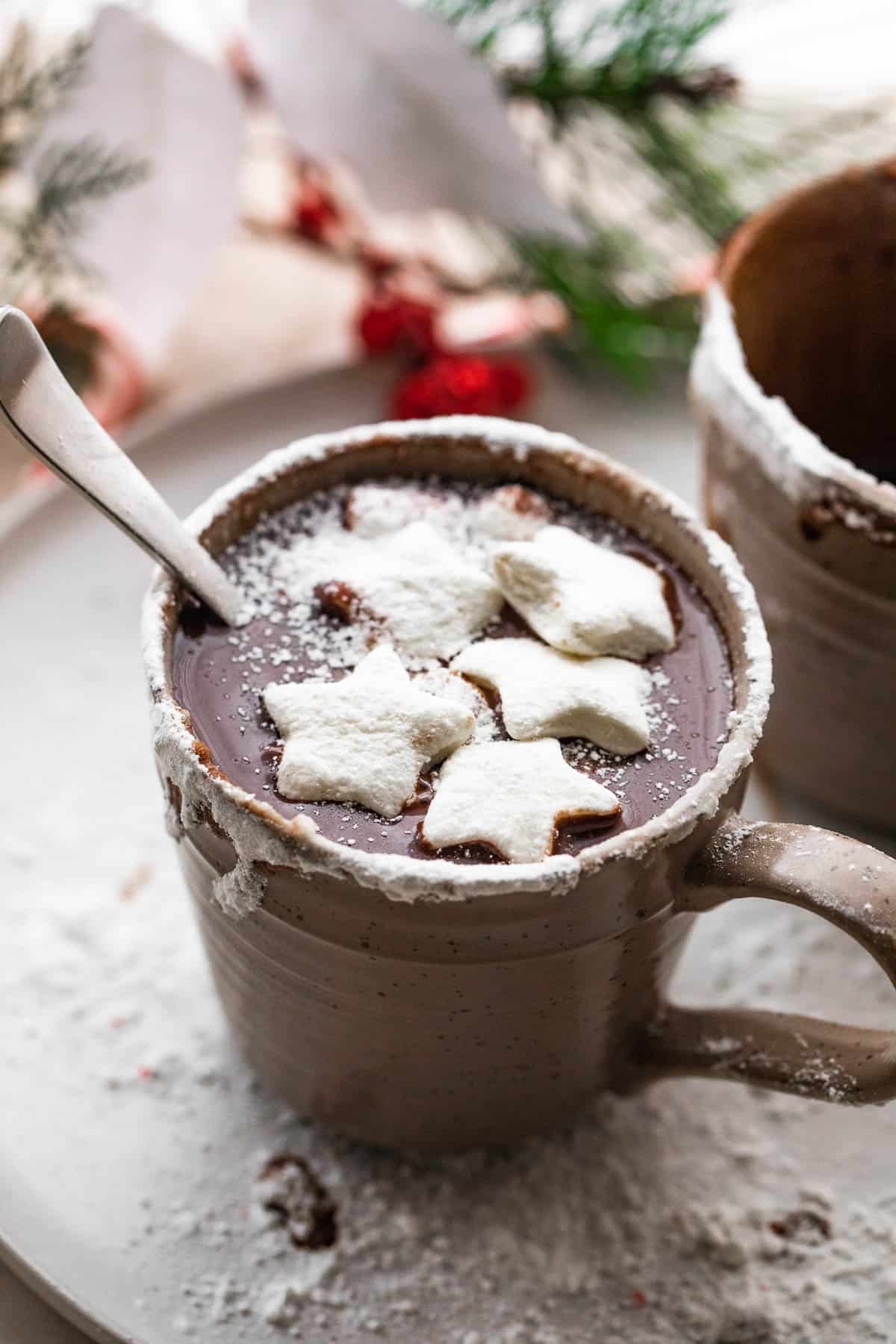side shot of hot chocolate in a brown mug and topped with star shaped marshmallows and powdered sugar.