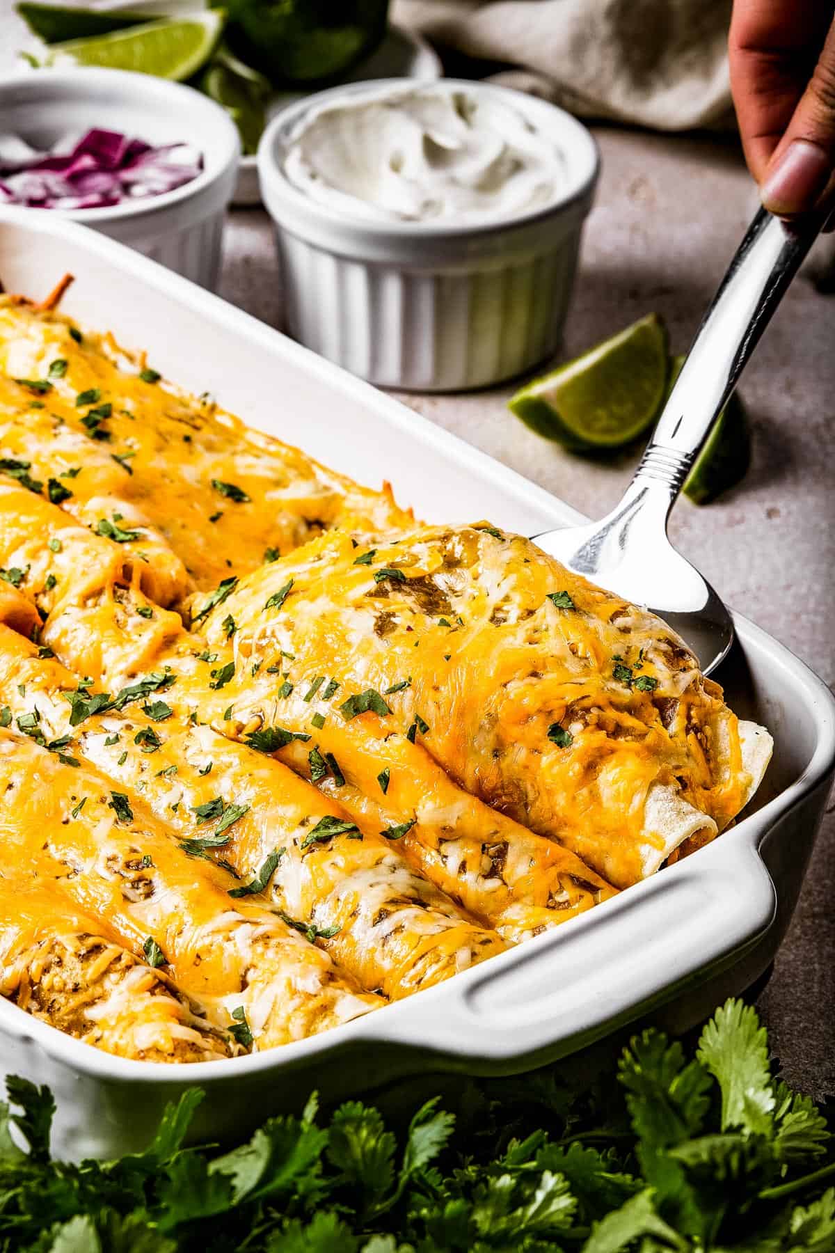 A silver spoon is lifting two enchiladas from a white baking dish.