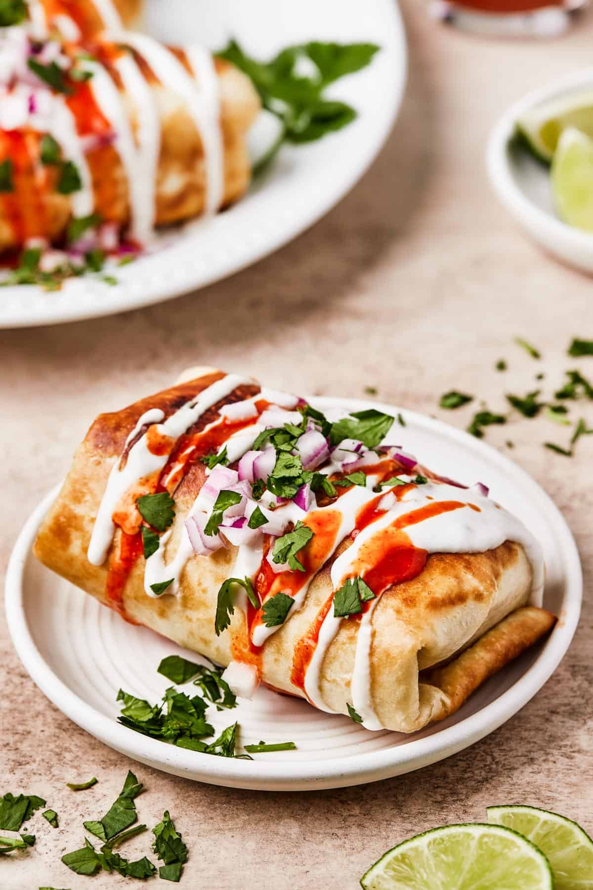 Close-up shot of fried burritos with toppings.