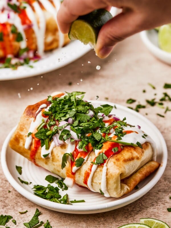 Close-up shot of fried burritos with toppings.
