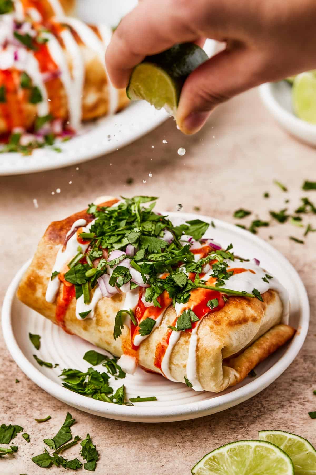 Close-up shot of fried burritos with toppings.