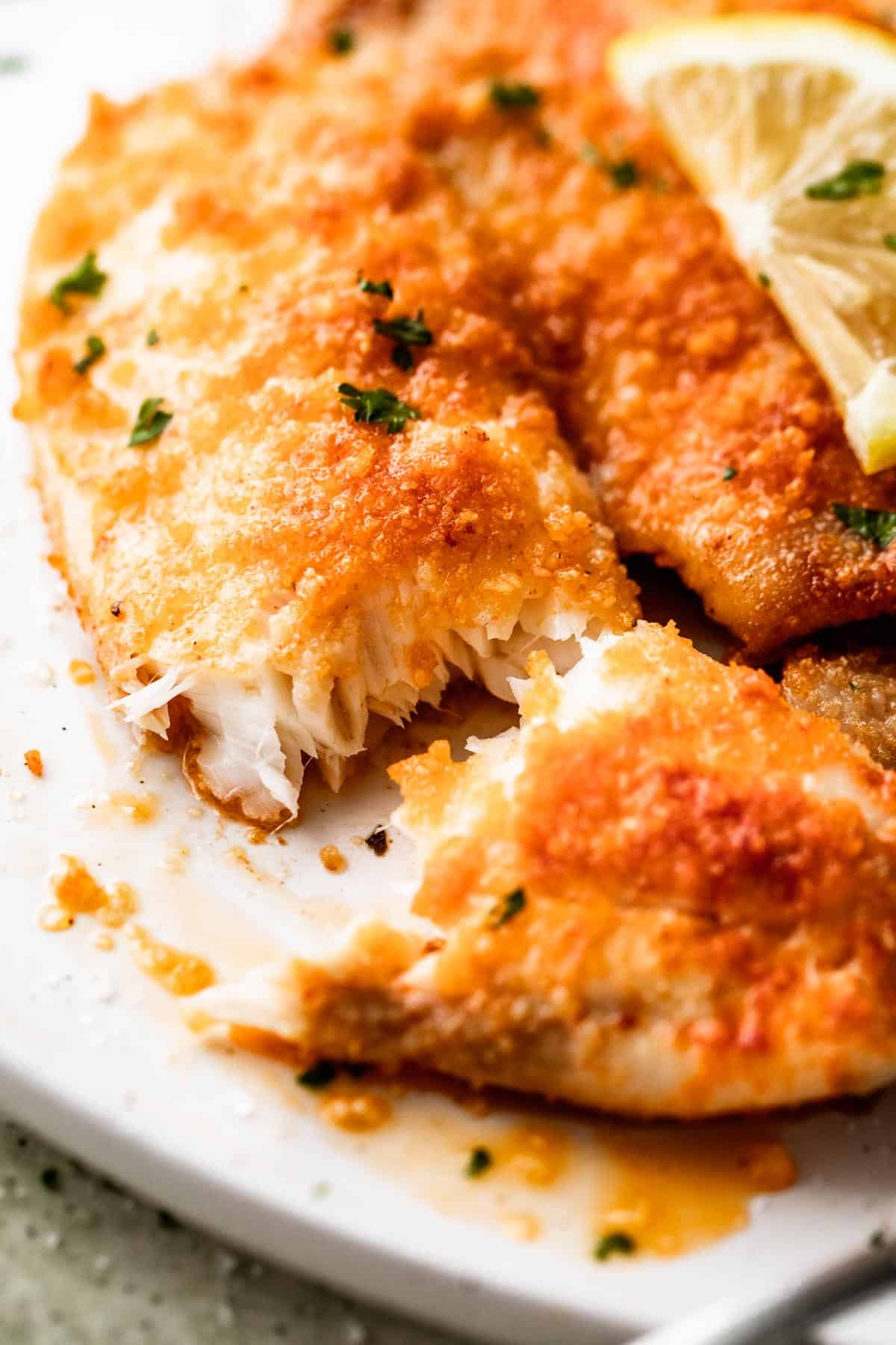 up close shot of a tilapia filet cooked in the air fryer.