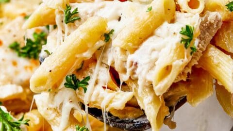 Chicken Alfredo Pasta Bake