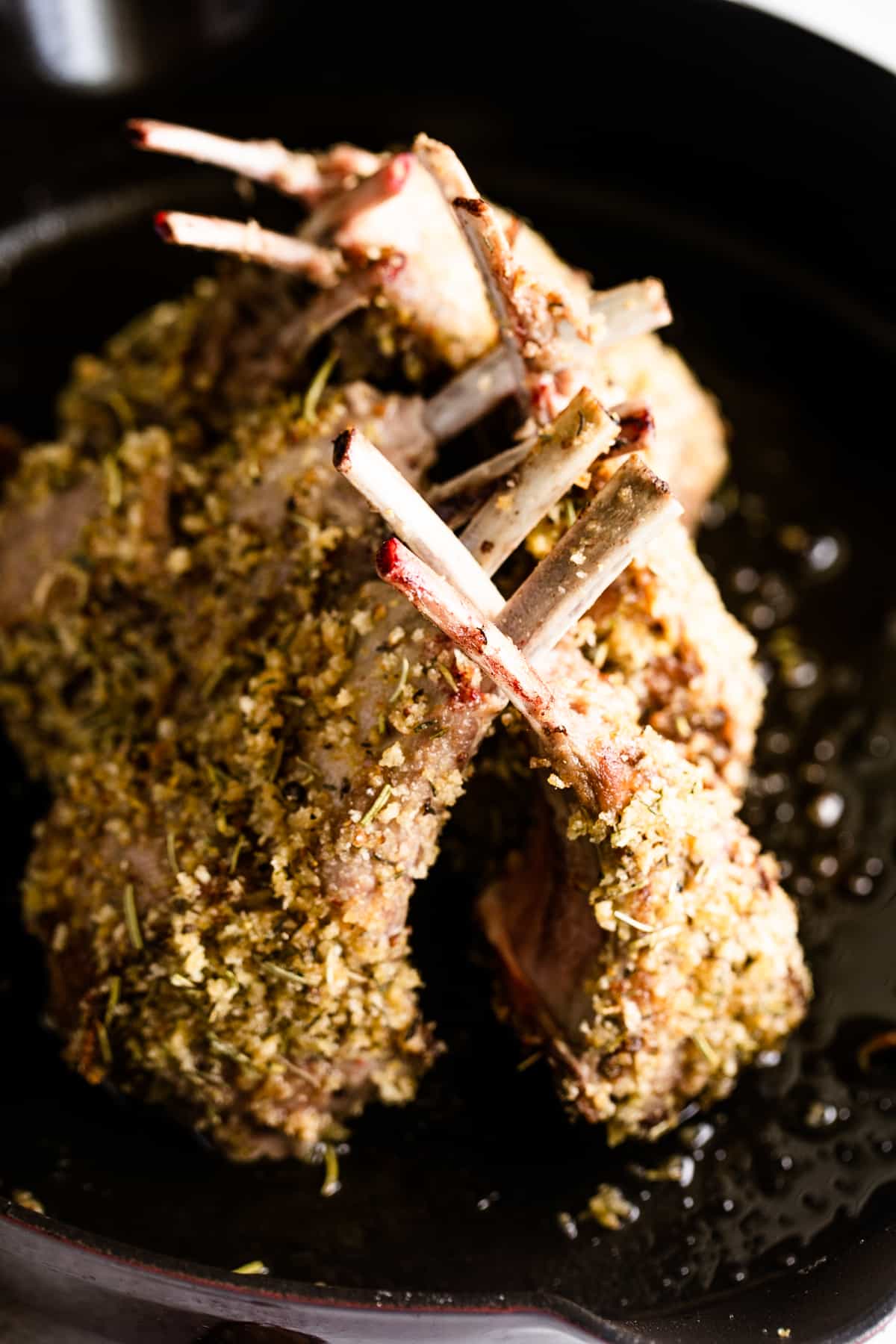 cooked frenched rack of lamb.