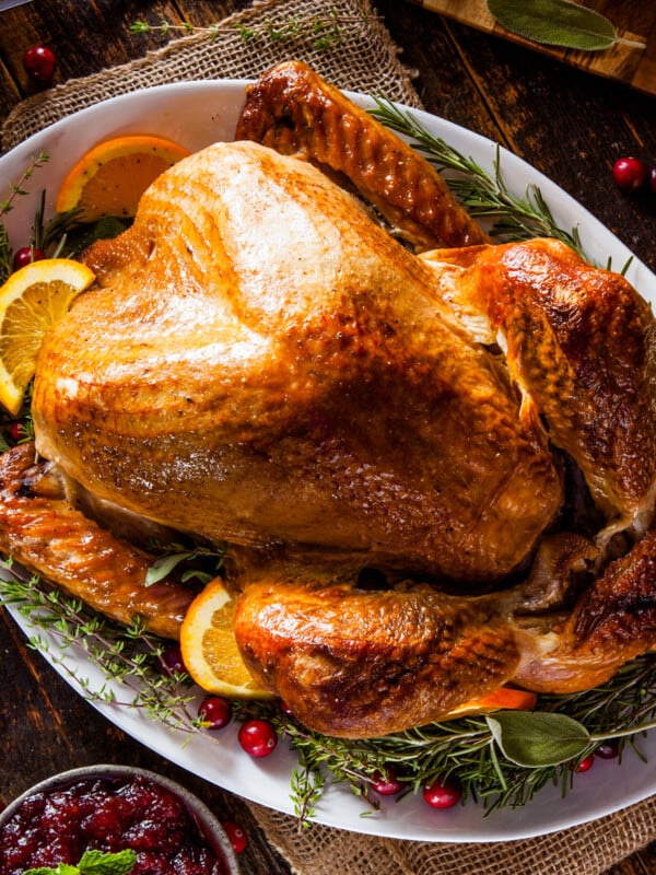 A roasted Thanksgiving turkey garnished with citrus slices and green herbs.