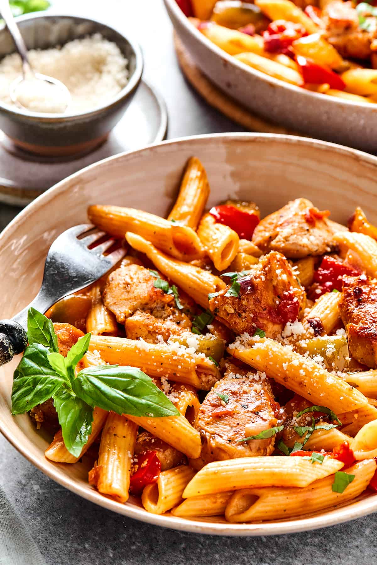 Penne pasta with vegetables and chicken.