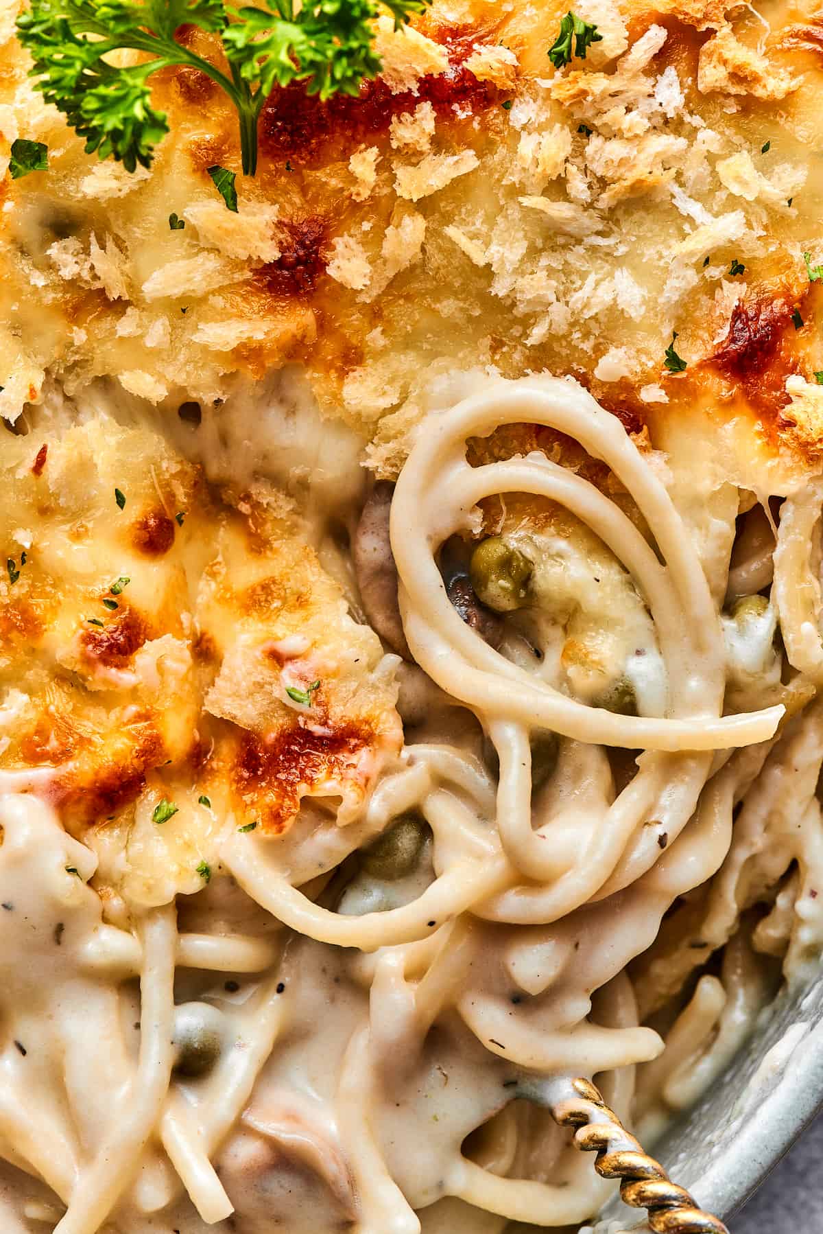 Close-up shot of chicken and creamy pasta with a melted cheese topping.