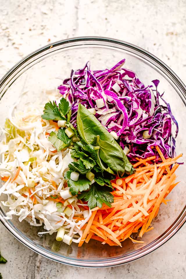 Asian Cabbage Slaw - Easy Weeknight Recipes