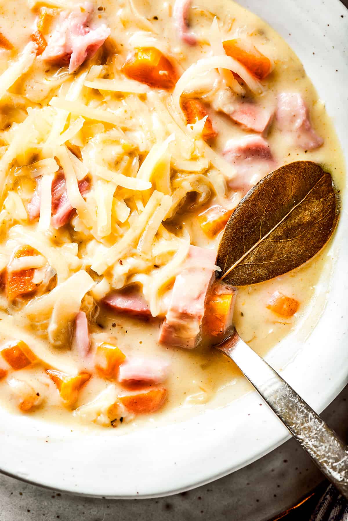 Close-up of Reuben soup made with corned beef and sauerkraut, and sprinkled with Swiss cheese.