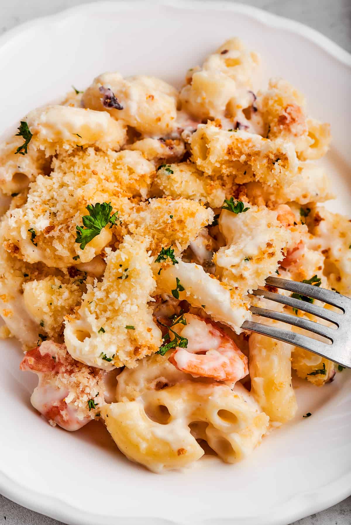 Taking a bite of seafood mac and cheese