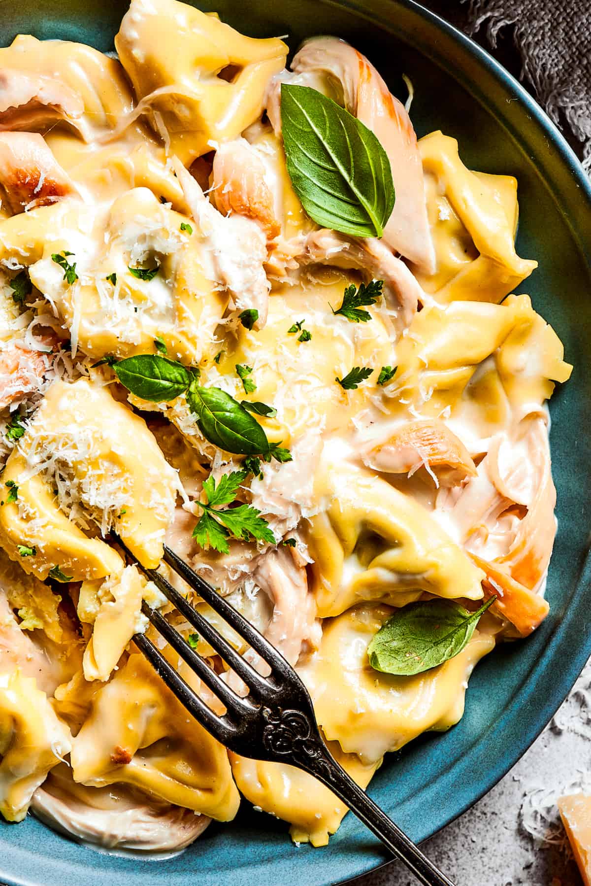 A blue bowl with a fork holds a creamy portion of chicken tortellini garnished with parmesan cheese and basil leaves.