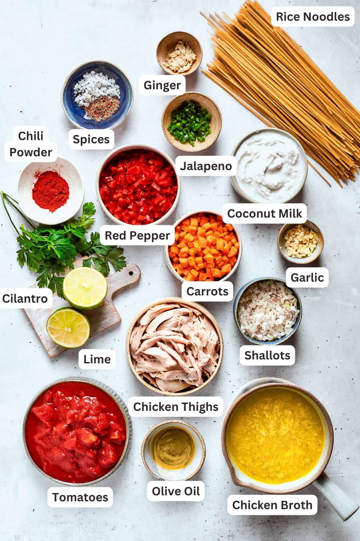 The ingredients for spicy chicken soup are shown portioned out: red pepper, chicken, coconut milk, garlic, carrots, shallots, lime, cilantro, broth, noodles, tomatoes, jalapeno, chili powder.