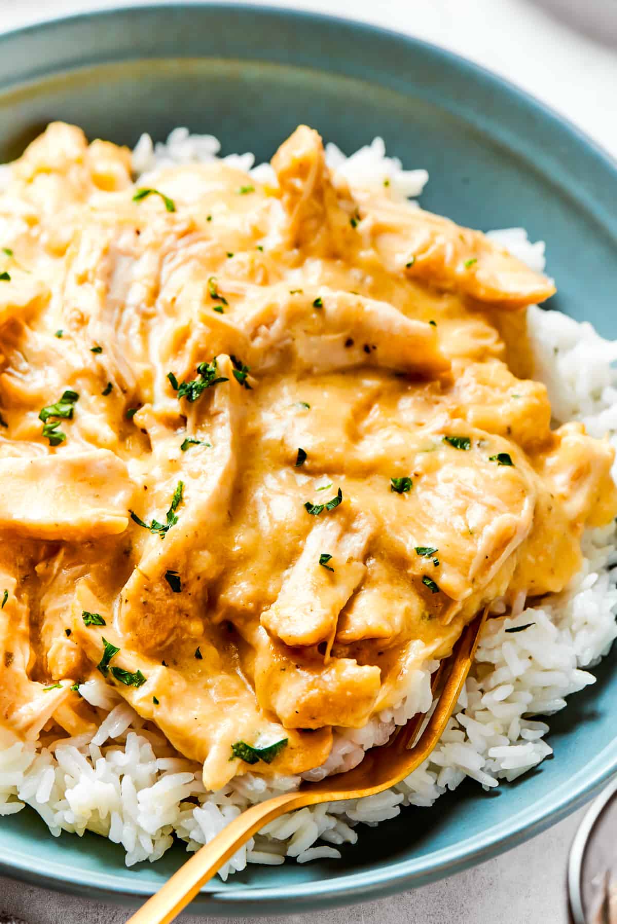 Close-up image of chicken and gravy served over rice on a dinner plate.