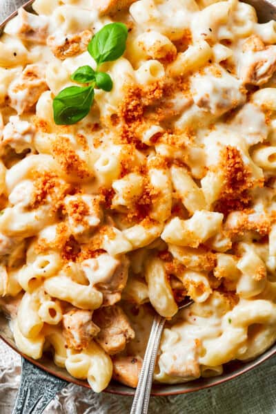 Chicken Mac and Cheese | Easy Weeknight Recipes