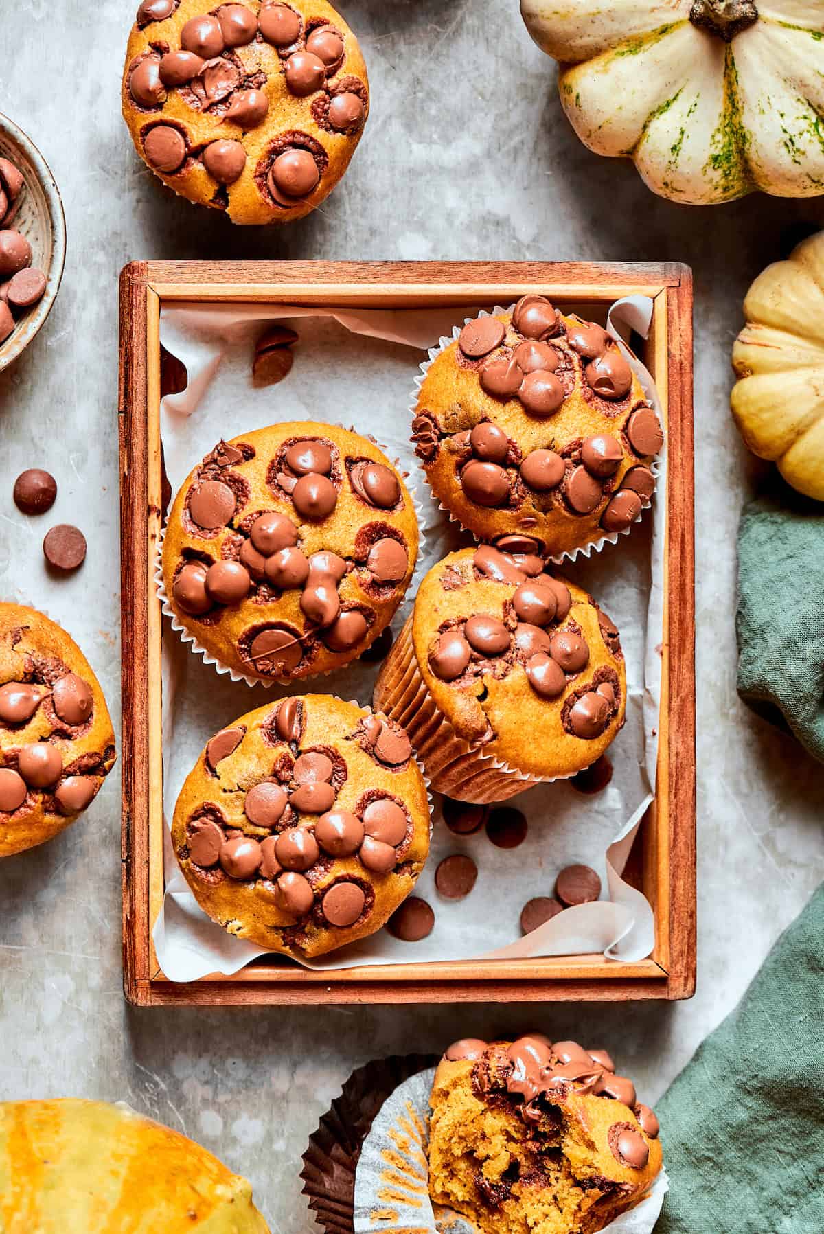 A tray of pumpkin chocolate chip muffins with mini pumpkins next to them.