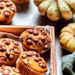 Mini pumpkins surround pumpkin chocolate chip muffins.