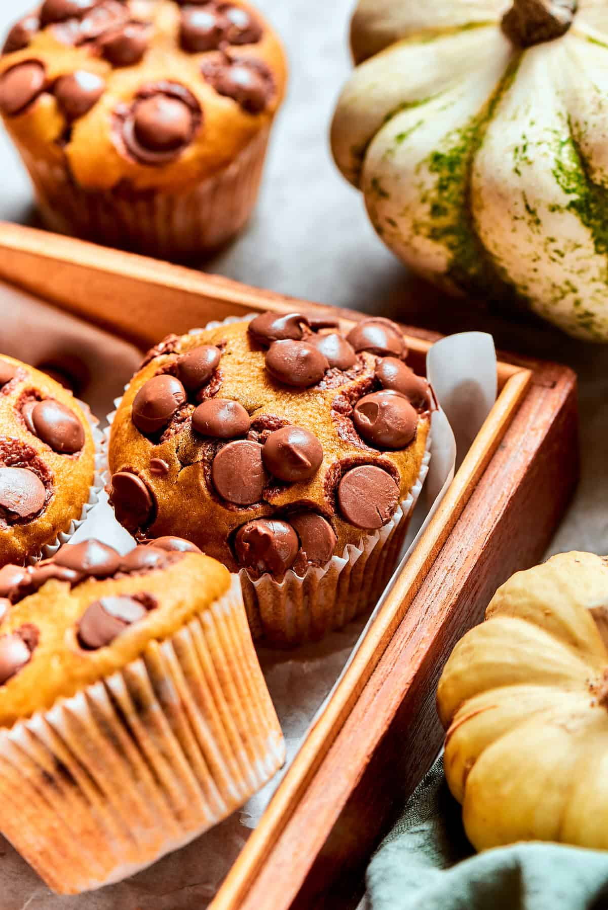 Chocolate chips top pumpkin muffins.