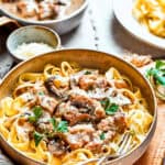 Bowl of chicken and mushrooms served on top of noodles.