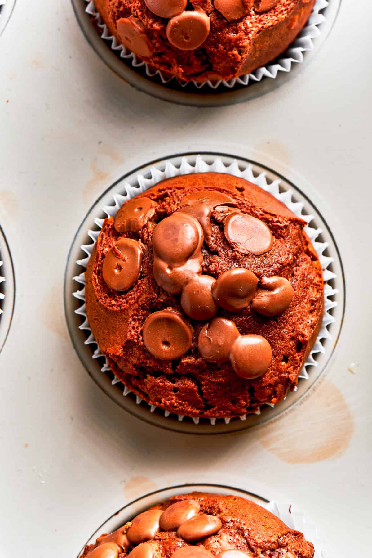 Overhead image of the top of a chocolate muffin topped with chocolate chips.